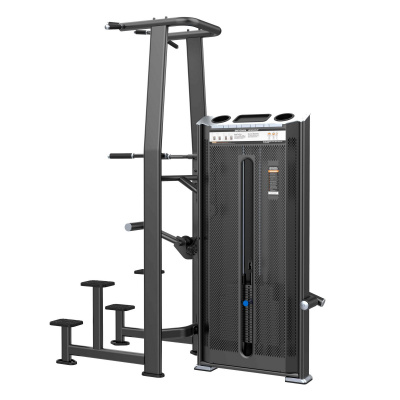 Турник и брусья с противовесом DHZ E7009A