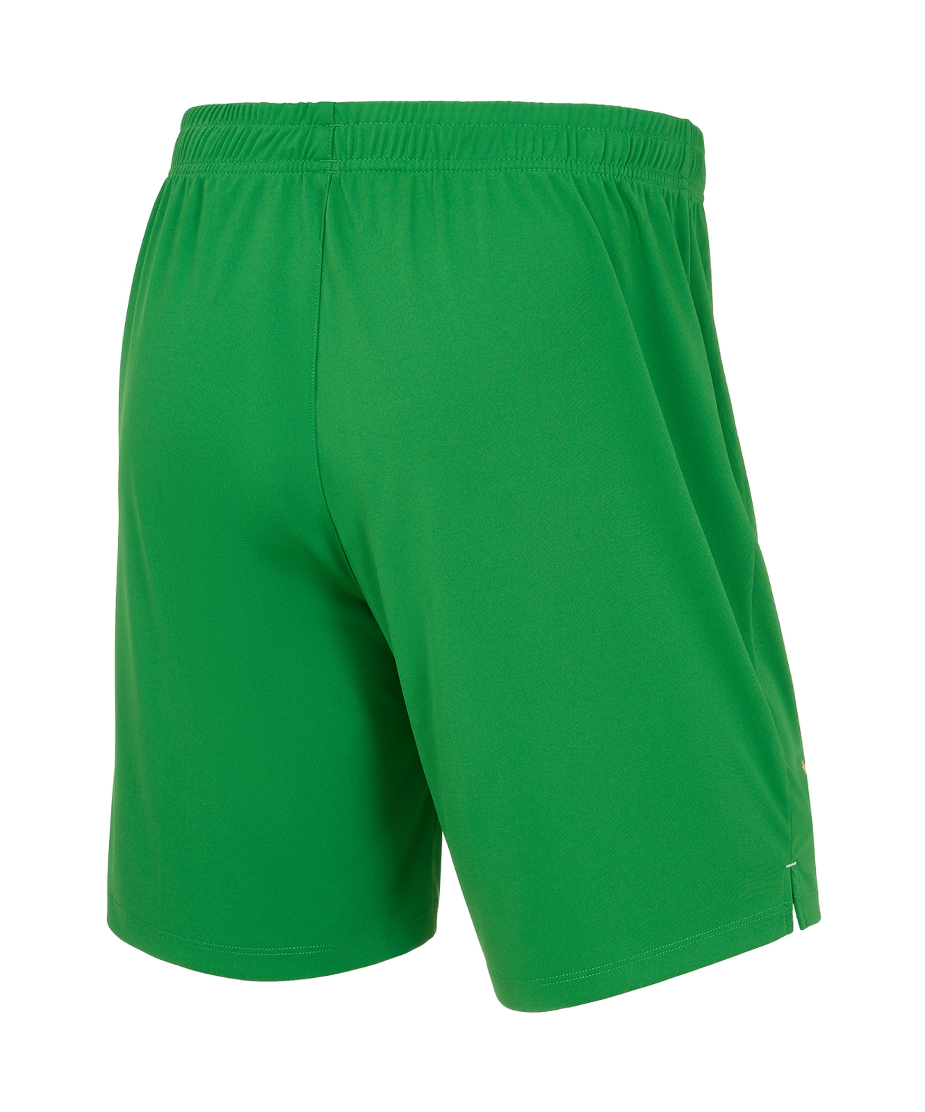 Шорты вратарские Jogel PREMIER PerFormDRY Spartak GK Shorts Green, зеленый