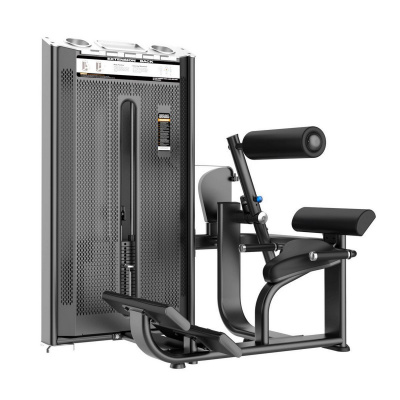 Разгибание Спины DHZ Back Extension E7031A