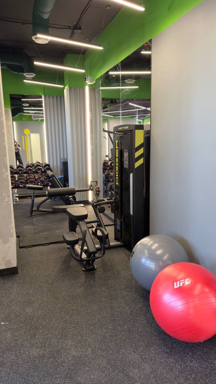 Скамья Скотта Hasttings Digger HD020-4 | Premium Fitness