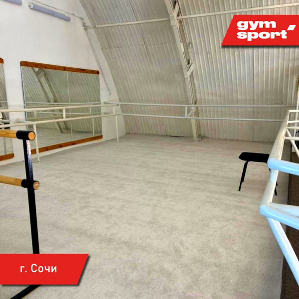 Ковер для эстетической гимнастики GymSport PROF 14Х14