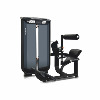 UltraGym UG-CL503 Разгибание спины