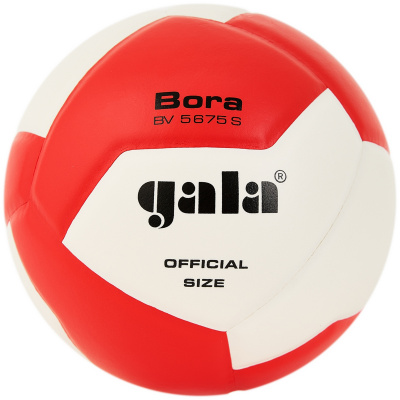 Мяч волейбольный Gala Bora 12 BV5675S р.5