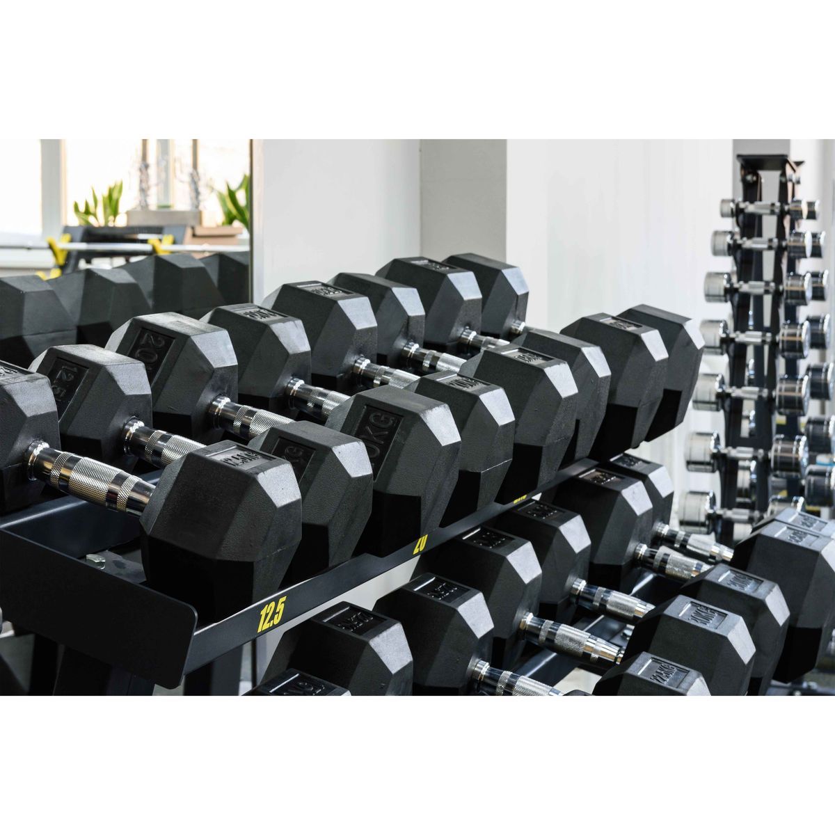 Гантель гексагональная обрезиненная Profi-Fit 50 кг