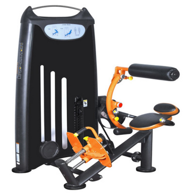 Разгибание Спины Сидя Vertex EWS 173