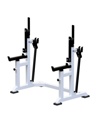 Стойка для пауэрлифтинга домкратная ARMS AR012.6 | Premium Fitness