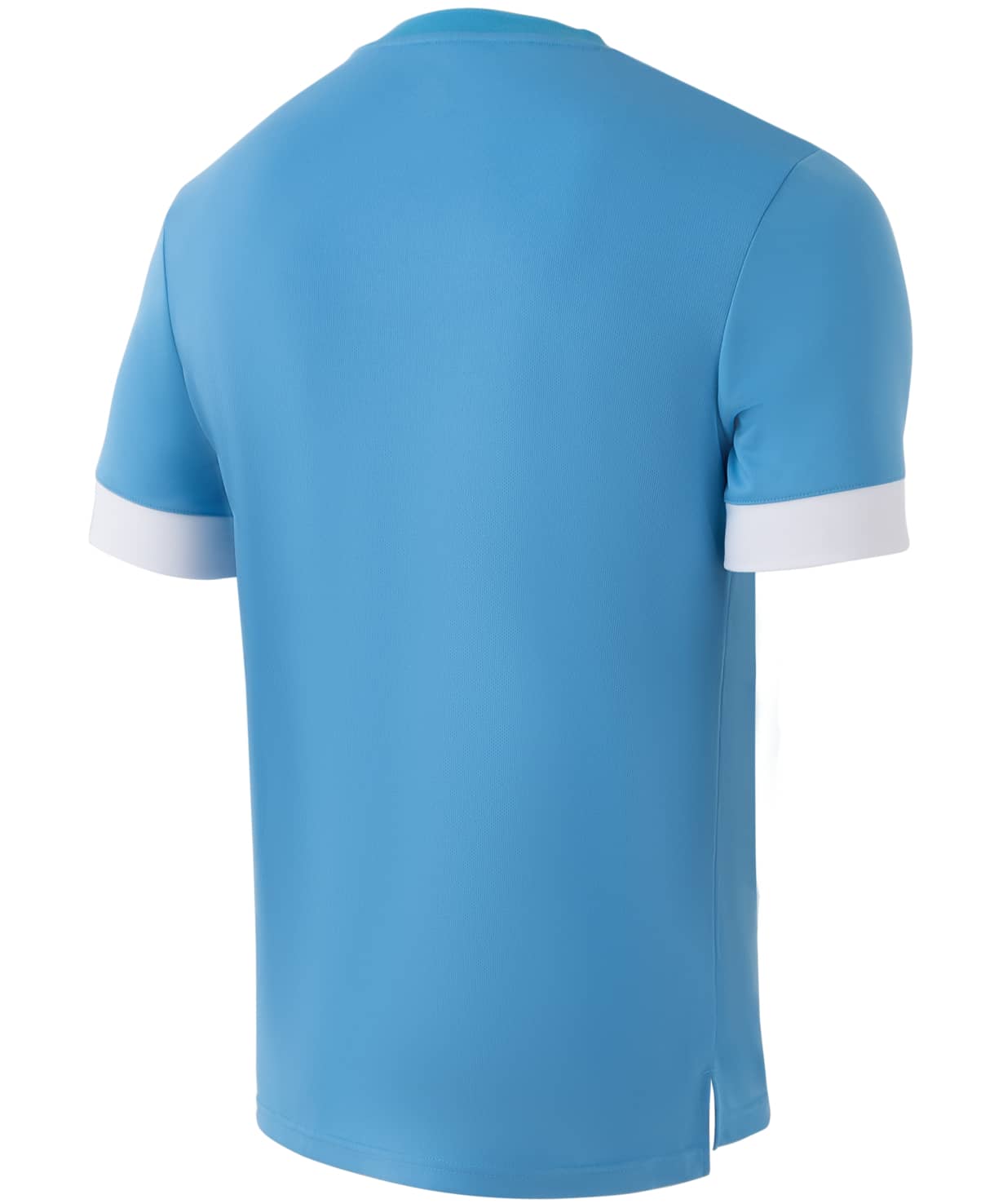 Футболка игровая Jogel DIVISION PerFormDRY Union Jersey, голубой/белый/белый