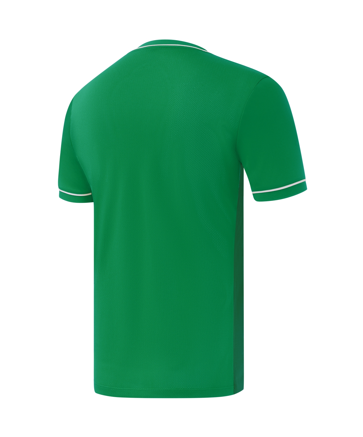 Футболка игровая Jogel DIVISION PerFormDRY Element Jersey 26, зеленый