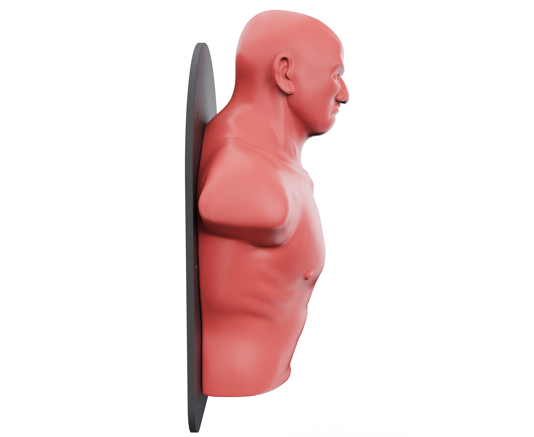Настенный боксерский манекен DFC WALL-MOUNTED PUNCHING MAN TLS-W