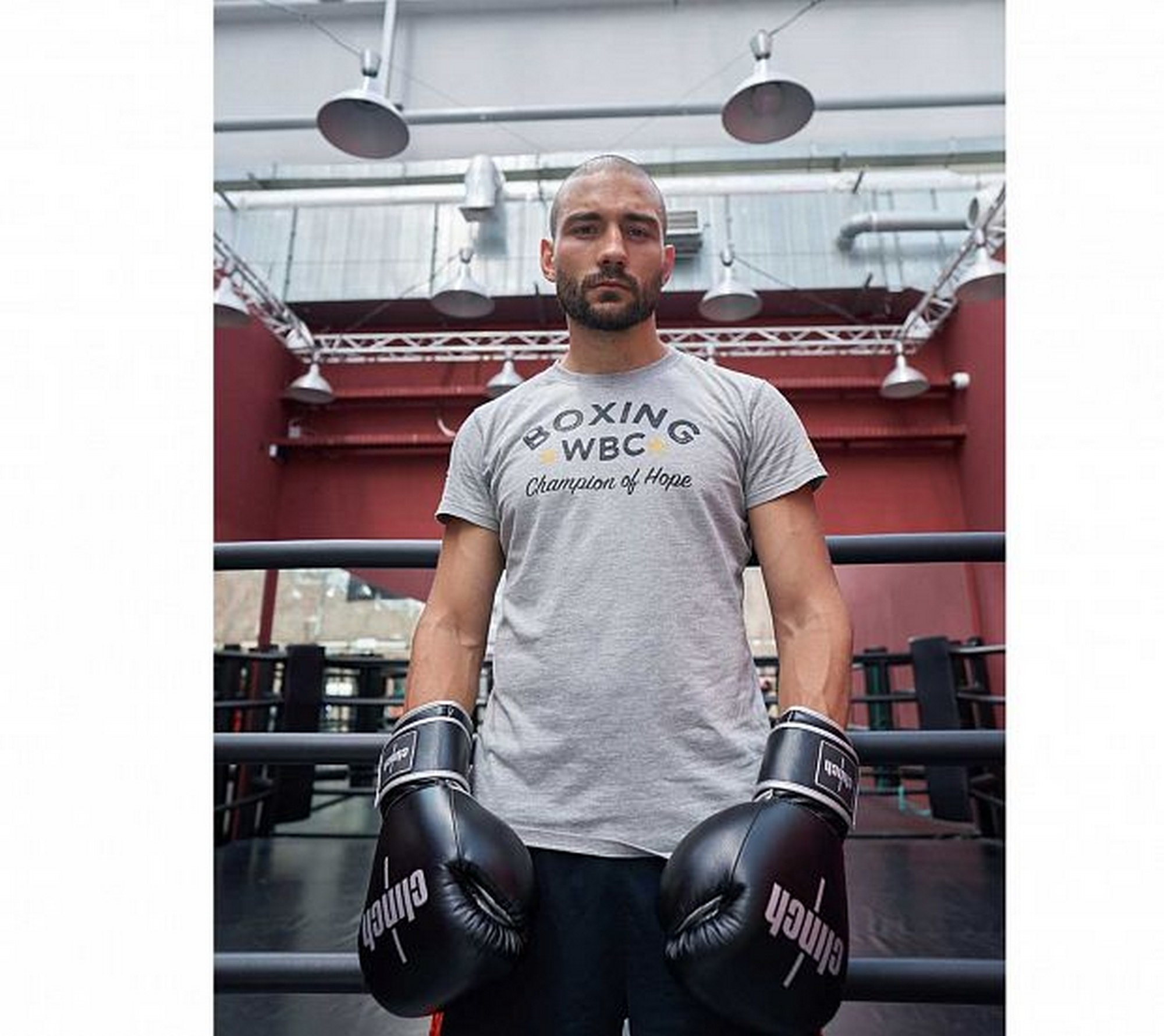 Перчатки боксерские Clinch Punch 2.0 C141 черно-серебристый