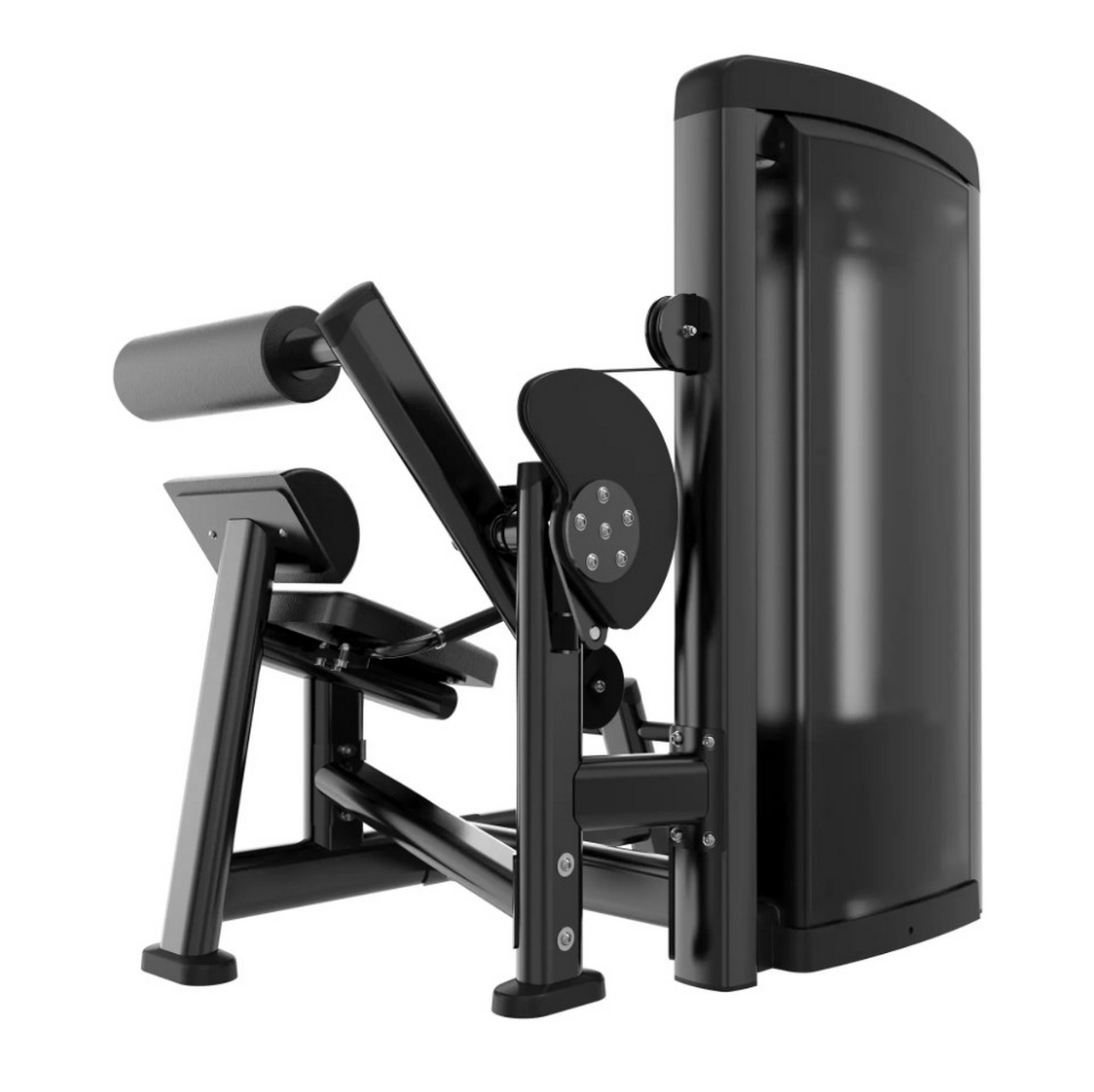 Protrain LFS118 Разгибание спины | Premium Fitness