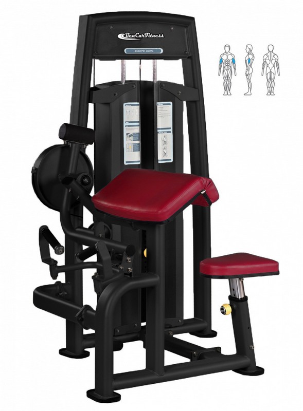 Бицепс машина BenCarFitness TS-P054 | Premium Fitness