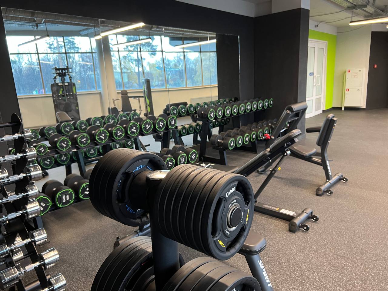 Скамья Скотта Spirit SP-4206 | Premium Fitness
