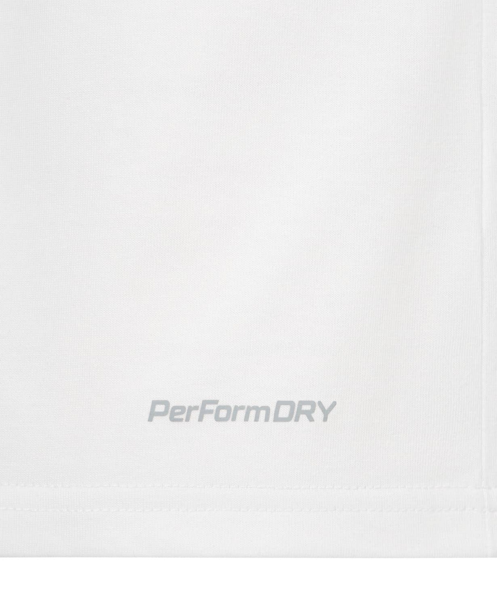 Футболка баскетбольная с длинным рукавом Jogel DIVISION PerFormDRY Pre-Match Longsleeve Jersey, белый