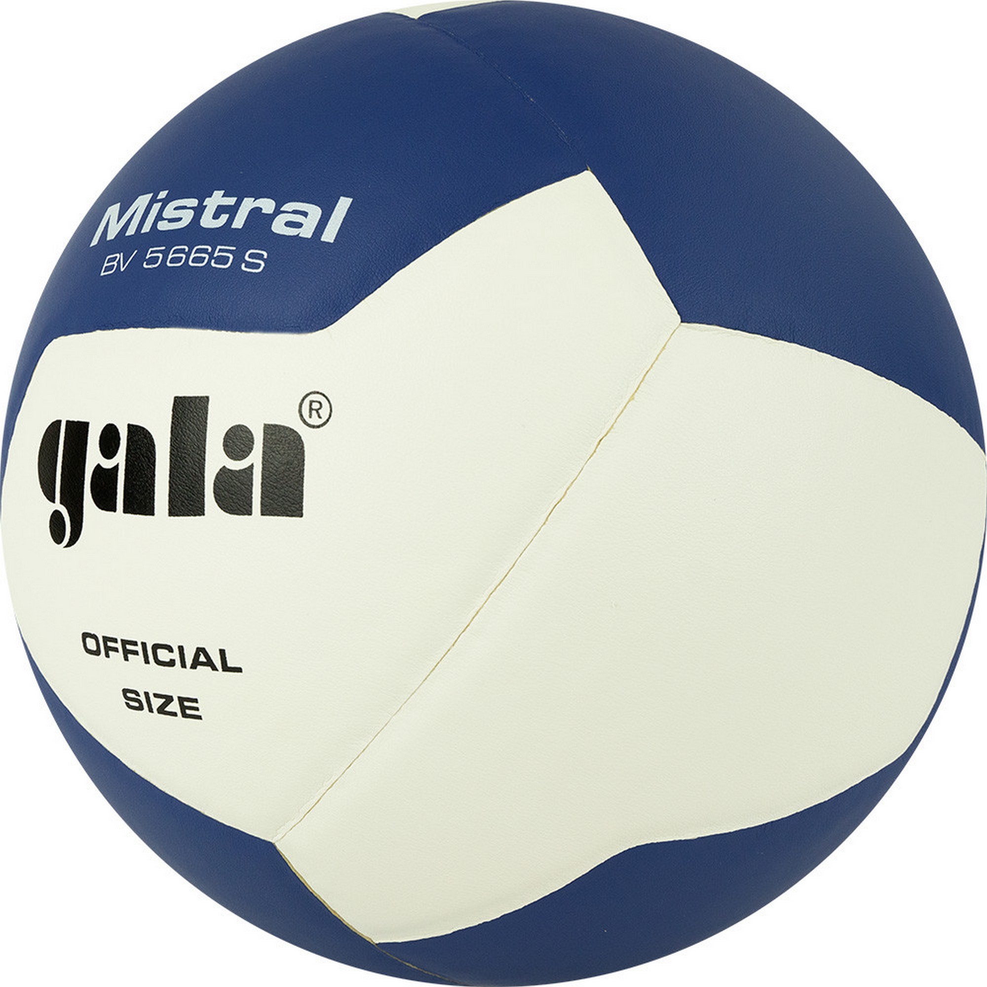 Мяч волейбольный Gala Mistral 12 BV5665S р. 5