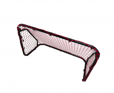 Ворота игровые (120x80 см) DFC RQ23009
