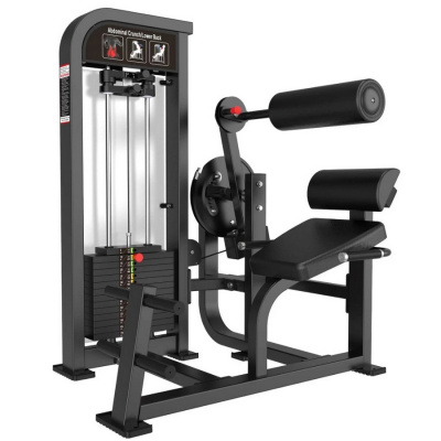Скручивания и разгибание спины Protrain CP136 | Premium Fitness