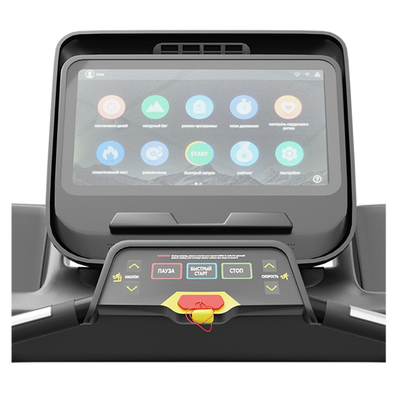 Профессиональная Беговая дорожка CardioPower PRO CT250