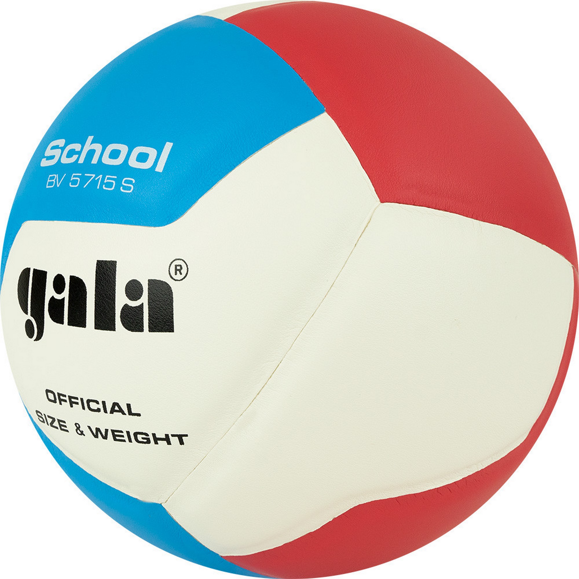 Мяч волейбольный Gala School 12 BV5715S р. 5