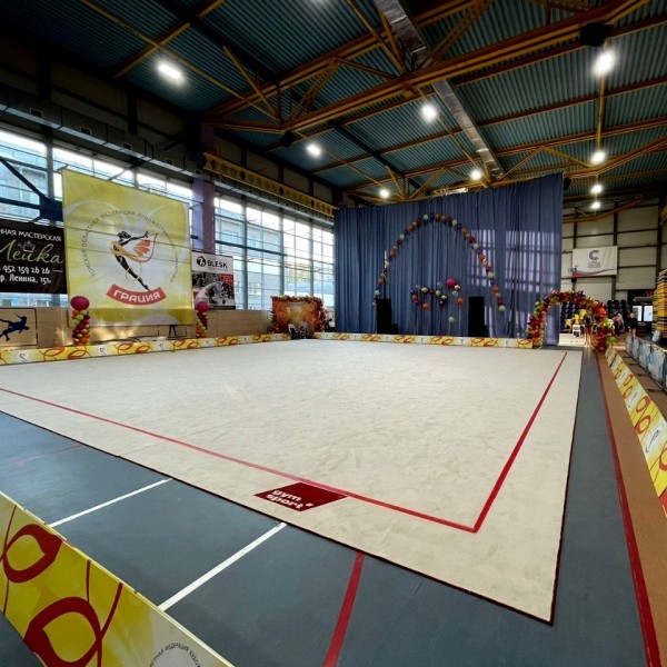 Ковер для эстетической гимнастики GymSport PROF PREMIUM 14х14м