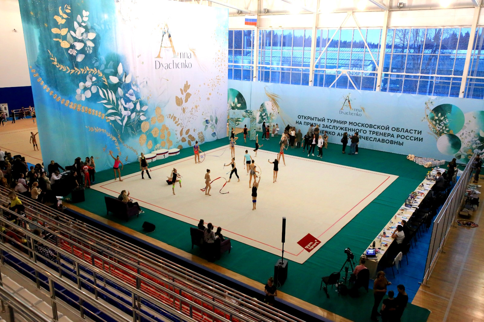 Ковер гимнастический GymSport PROF PREMIUM 4х2м