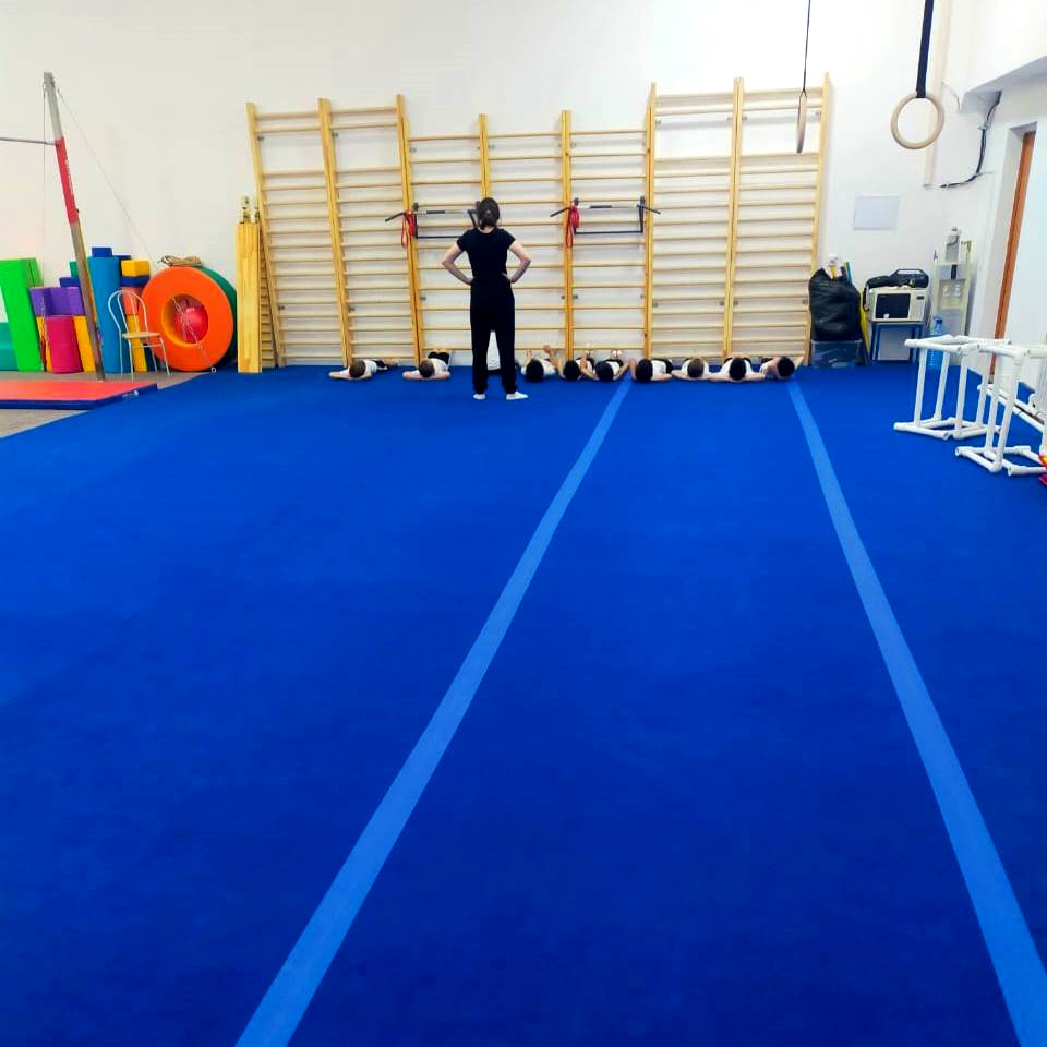 Ковер для спортивной гимнастики GymSport 14x14 Толщина 38 мм