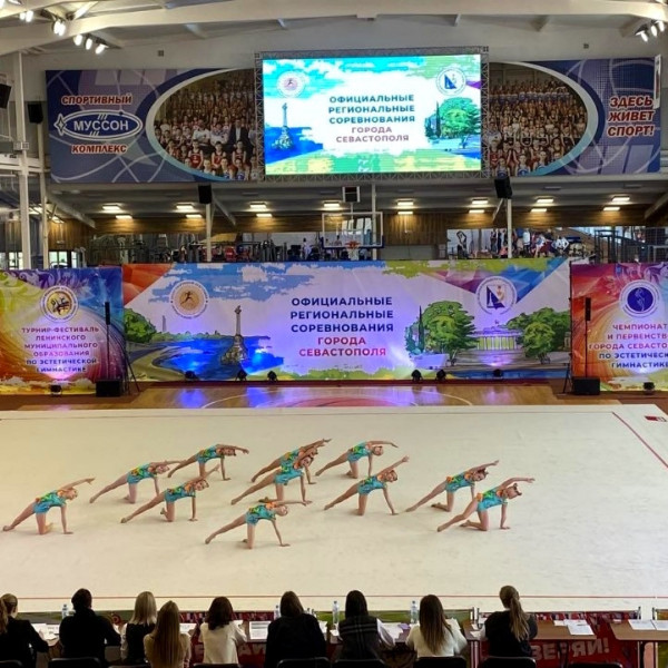 Ковер для эстетической гимнастики GymSport PROF PREMIUM 14х14м