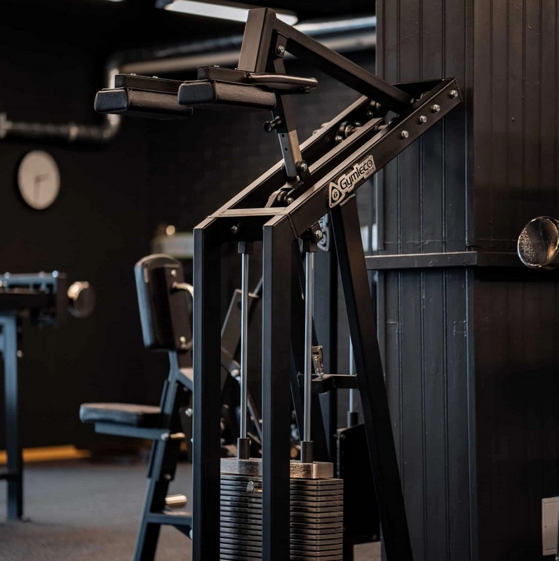 Gymleco 347 Голень стоя | Premium Fitness