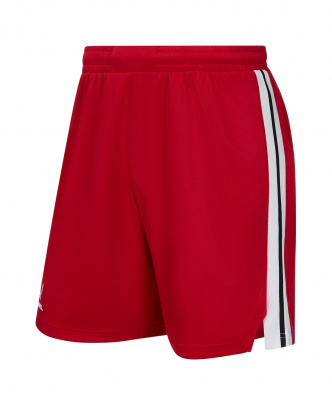 Шорты баскетбольные Jogel DIVISION PerFormDRY Shorts R2, красный