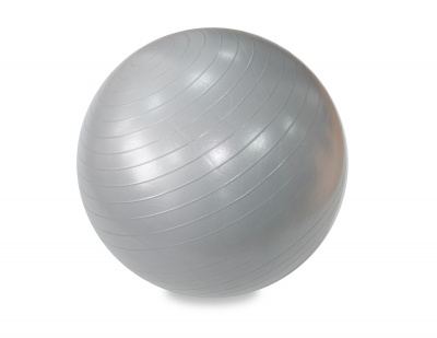 Гимнастический мяч d55 см Fitness Division FS-GYMB-55 серый