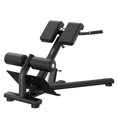 Гиперэкстензия Smith Fitness RE6010 для разгибания спины