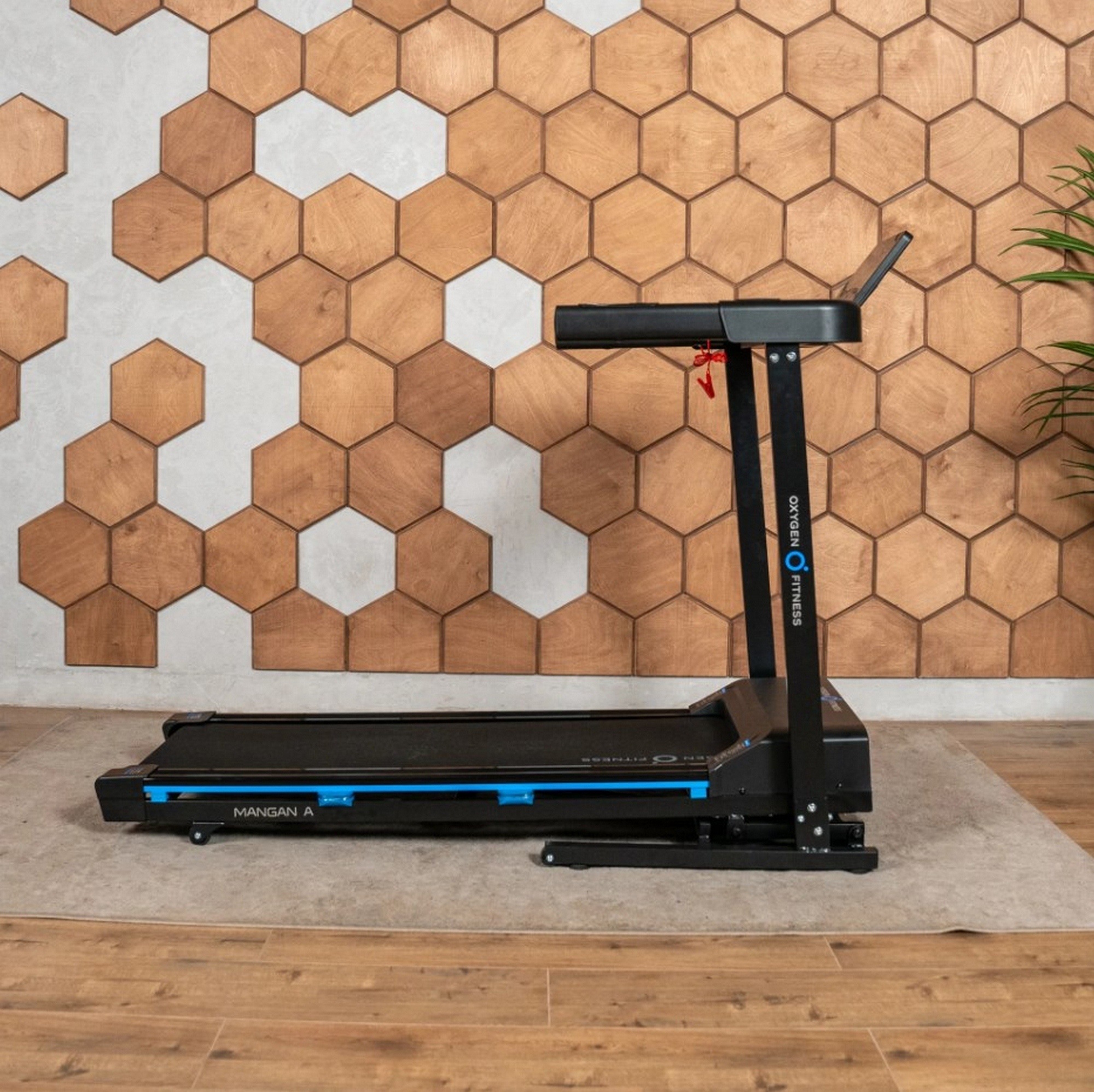 Беговая дорожка домашняя Oxygen Fitness MANGAN A