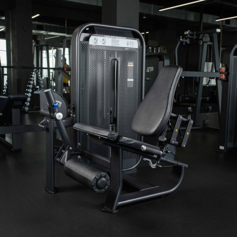DHZ E7002 Разгибание ног сидя
