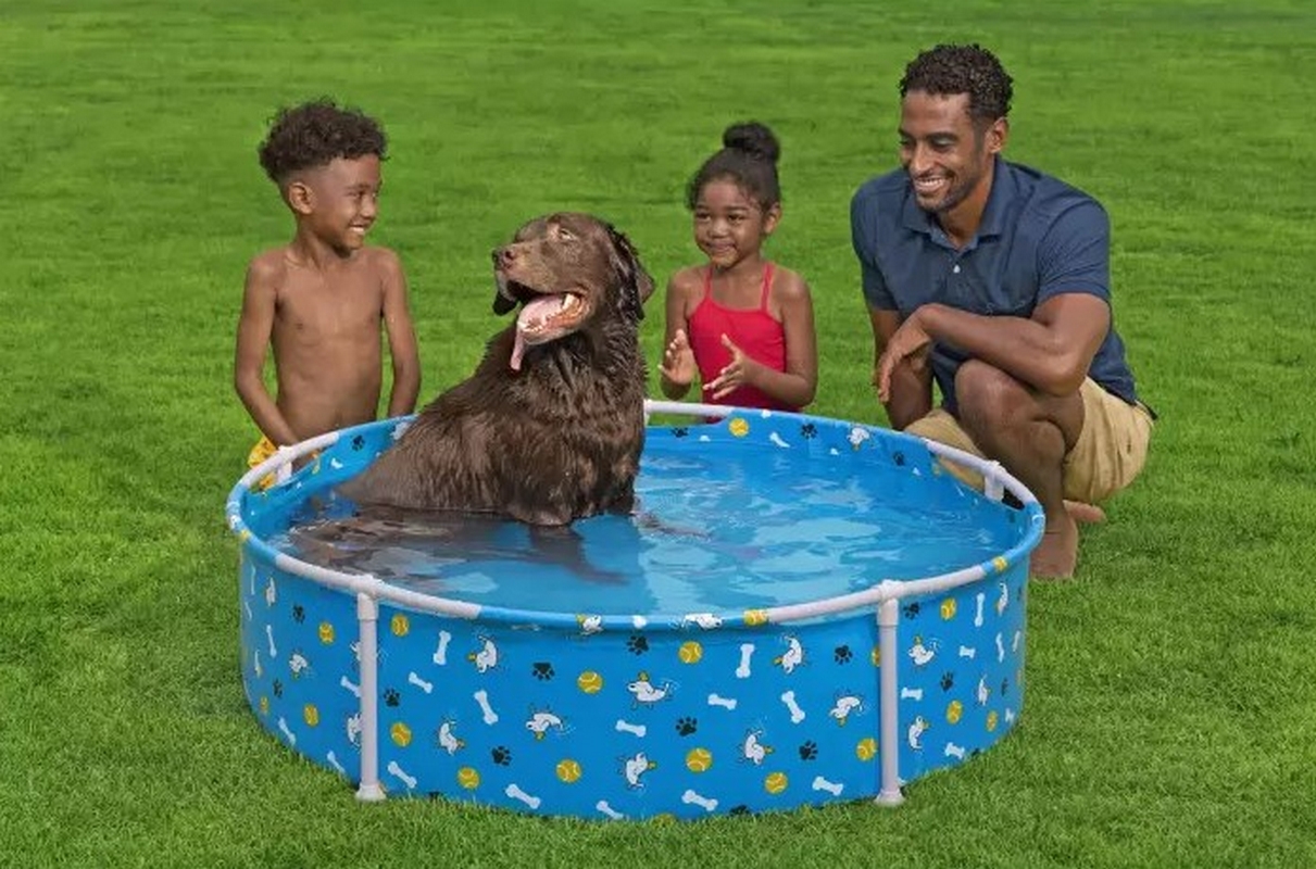 Каркасный бассейн для животных 122х30,5см Bestway Fetchin' Fun Pet Play Pool 561KM