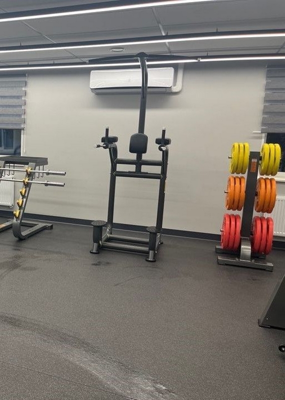 Подставка под диски Fitex Pro FTX-FB54 | Premium Fitness