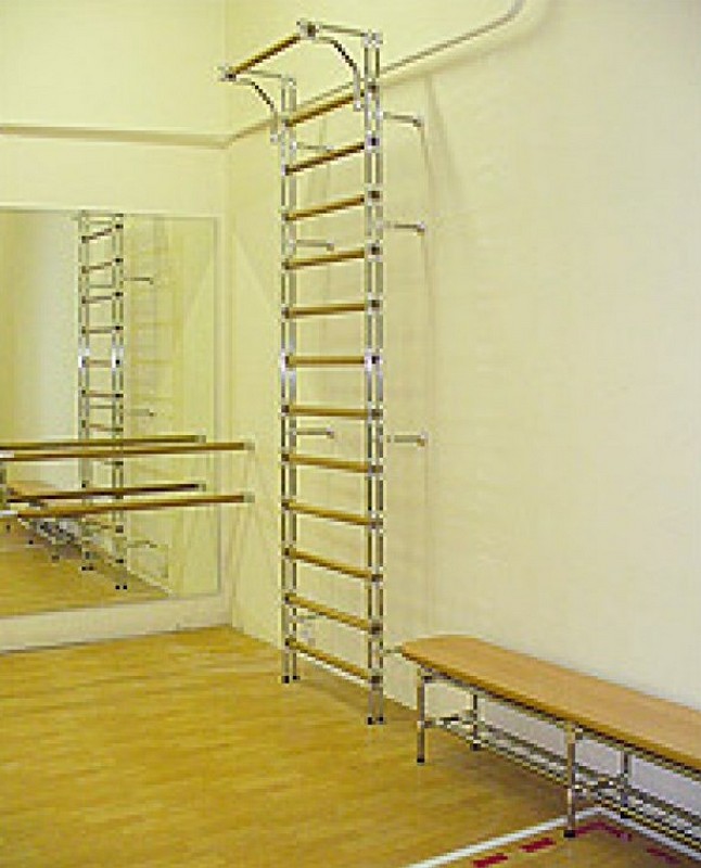 Шведская стенка (дуб, бук), 260x80см 1086