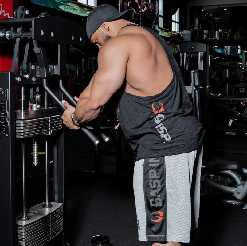 Gymleco 326 Баттерфляй стоя | Premium Fitness