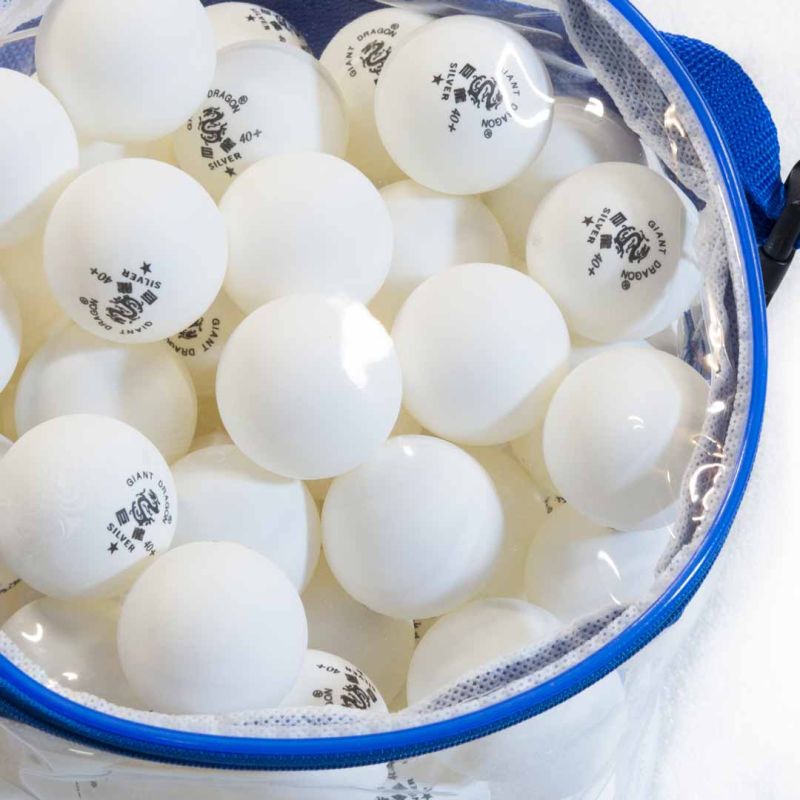 Мячи Giant Dragon Training Silver 1* New белый (100шт, в прозрачной сумке)