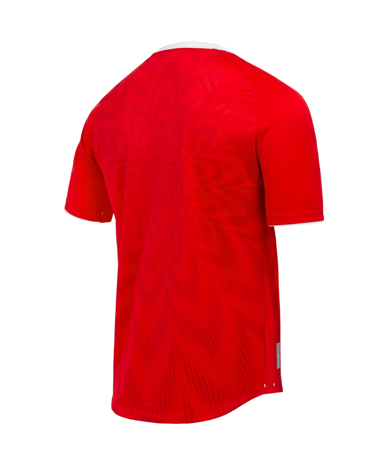 Футболка игровая Jogel NATIONAL PerFormDRY Home Jersey, красный