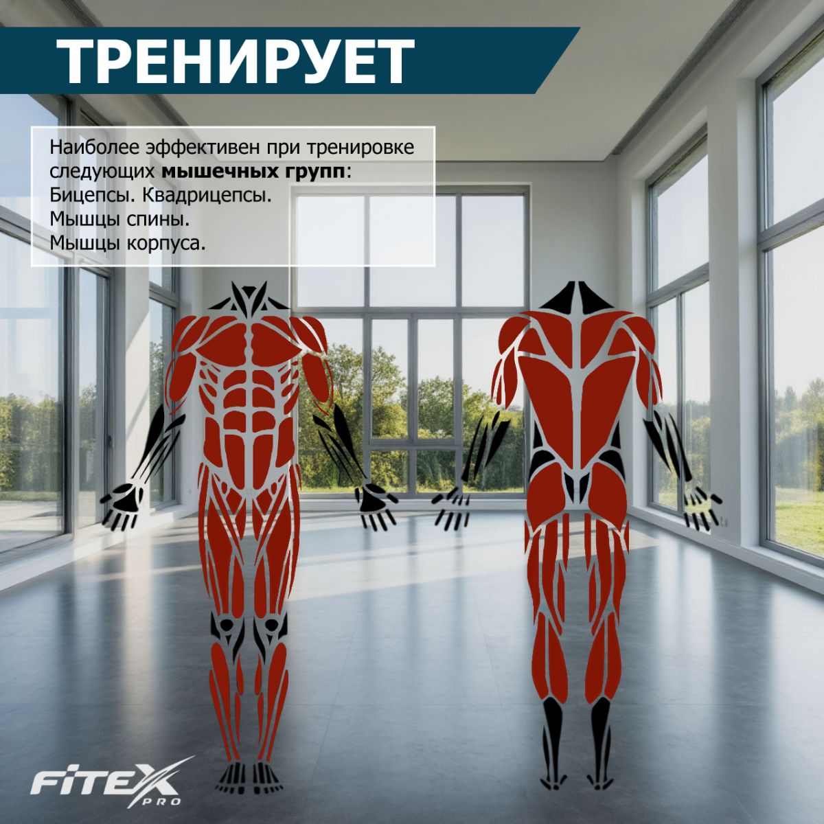 Гребной тренажер Fitex Pro PREMIER-7A PROF