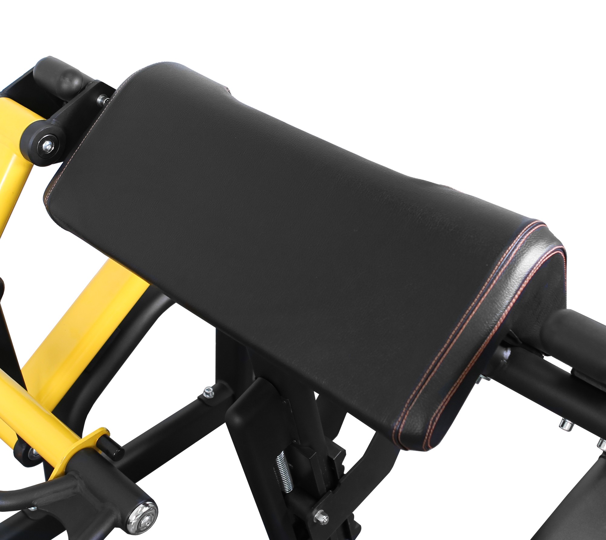 Bronze Gym PL-1713 Бицепс | Premium Fitness