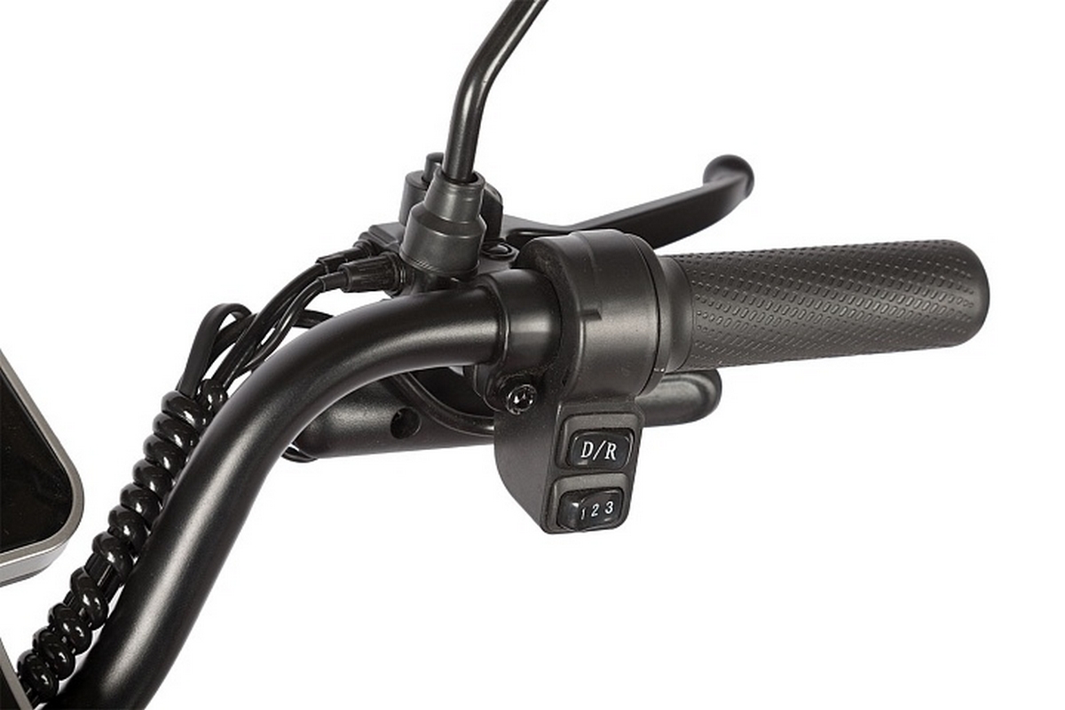 Электротрицикл 48V/60V 650Вт RuTrike Gelbert Sun 0000271