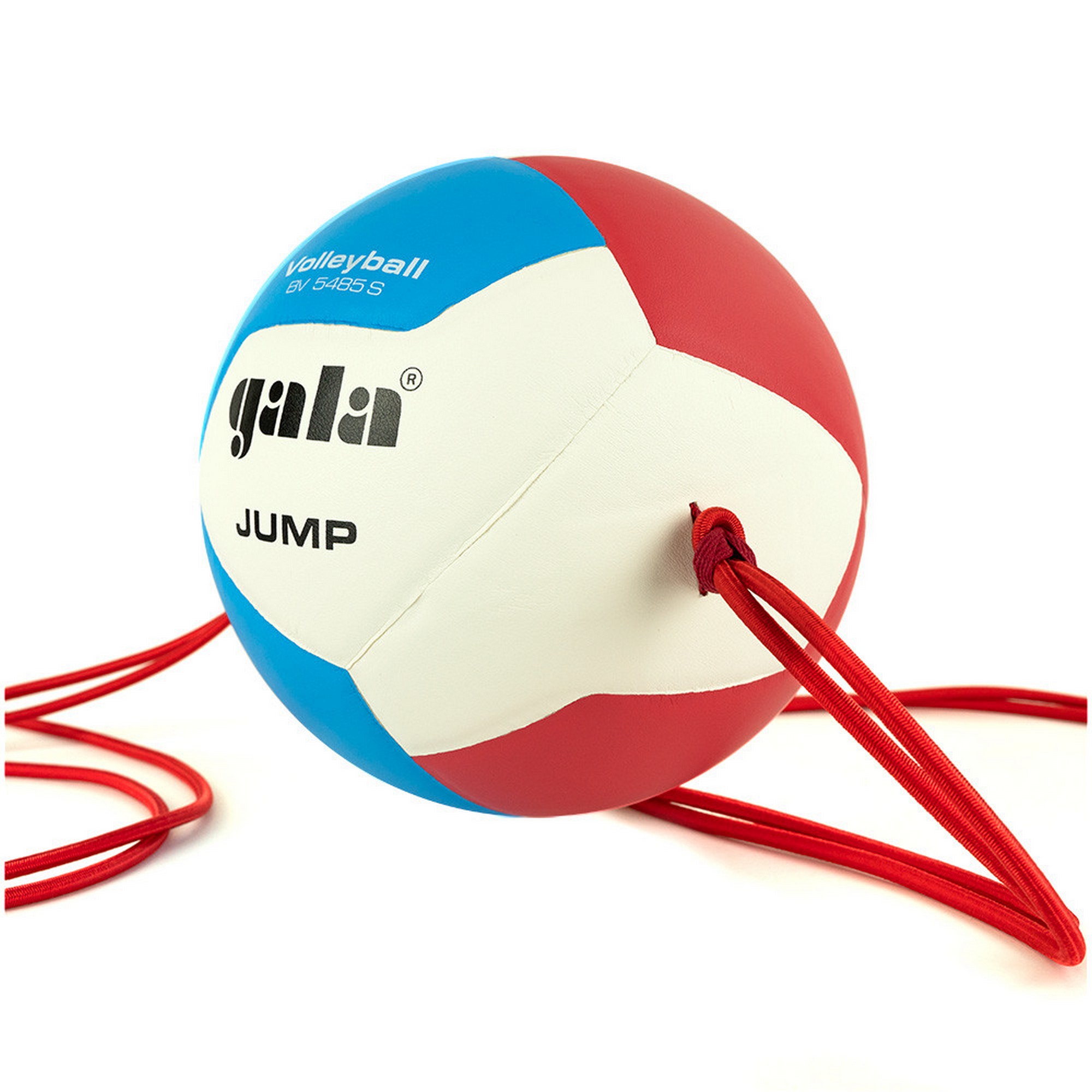 Мяч волейбольный на растяжках Gala Jump 12 BV5485S р.5