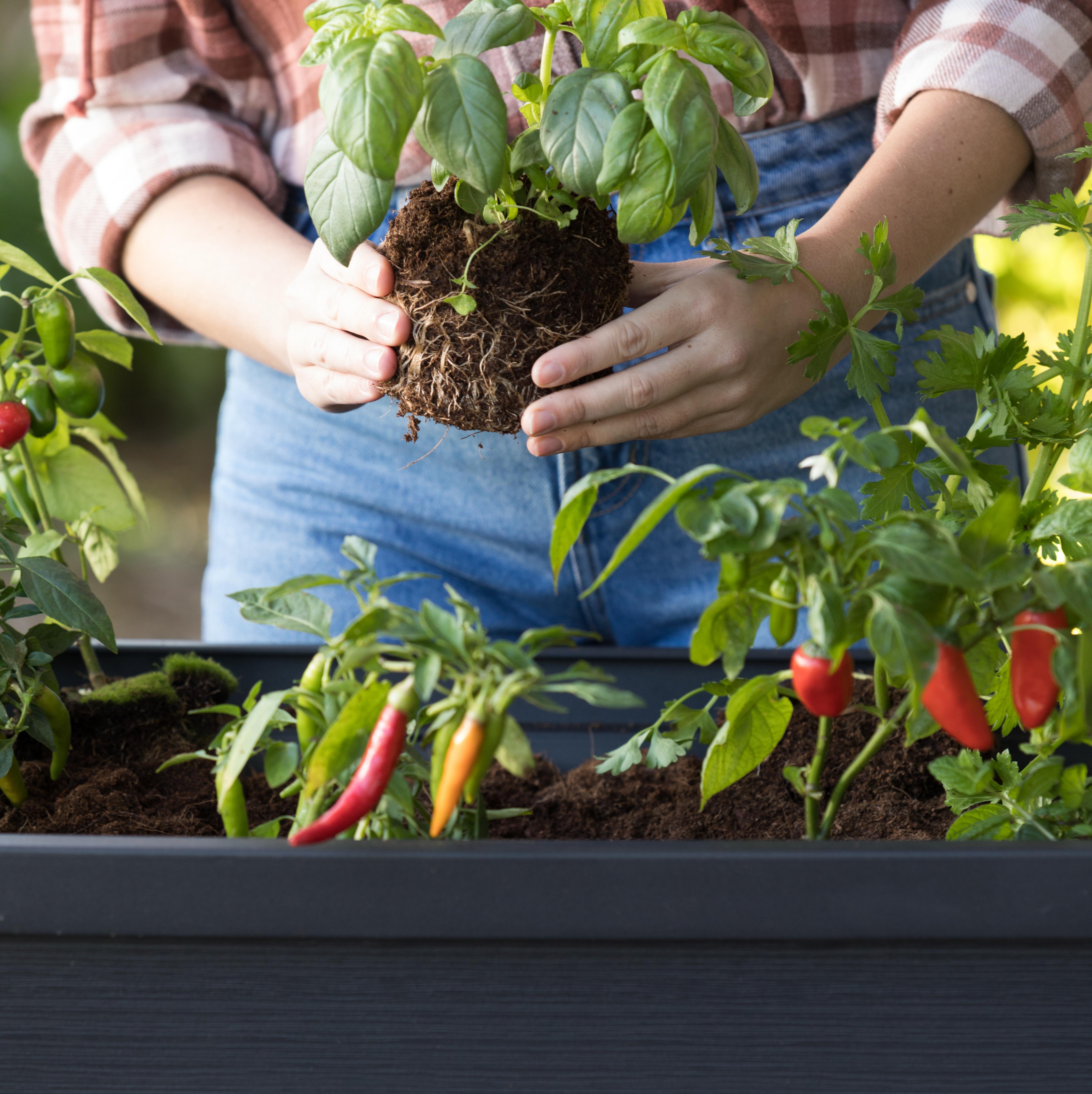 Грядка готовая, цвет графит ALFRESCO GARDEN BED