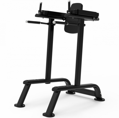 Поднятие коленей\брусья AeroFit Impulse ITF8701