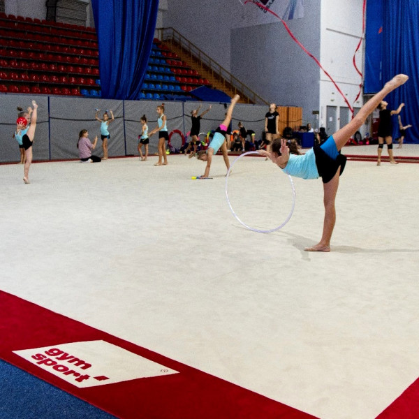 Ковер для эстетической гимнастики GymSport PROF PREMIUM RED 14Х14