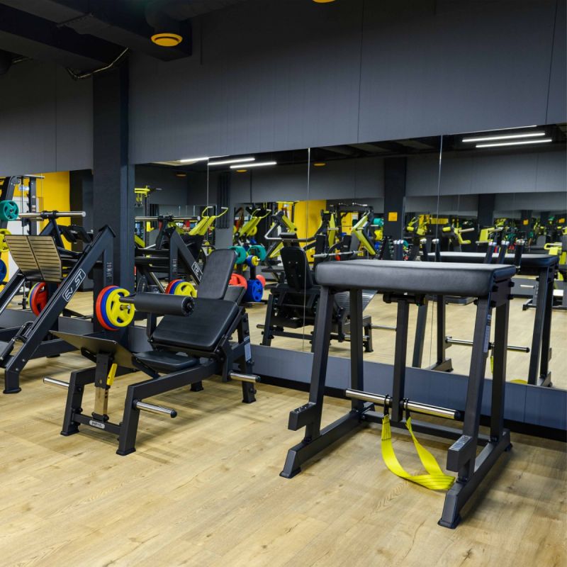 Скамья для обратной экстензии DHZ A3140 | Premium Fitness