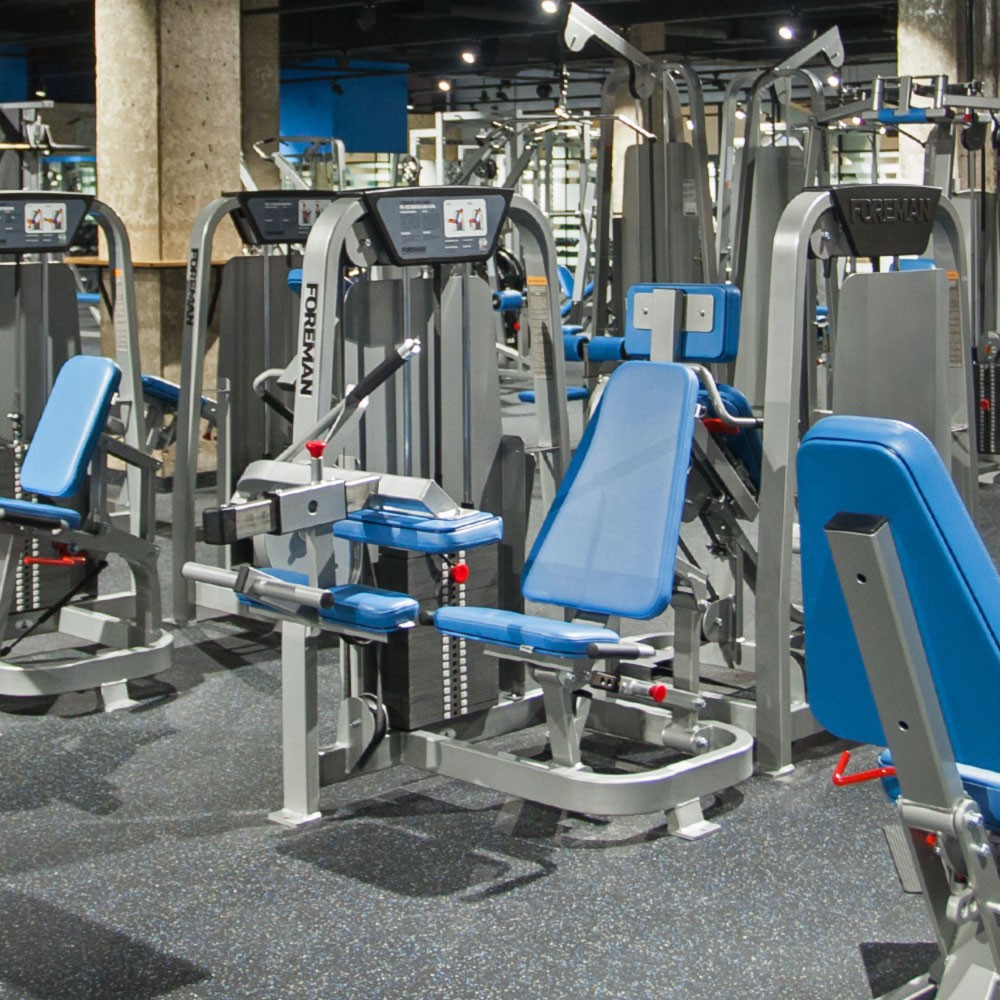 Foreman FS-102 Сгибание ног сидя | Premium Fitness