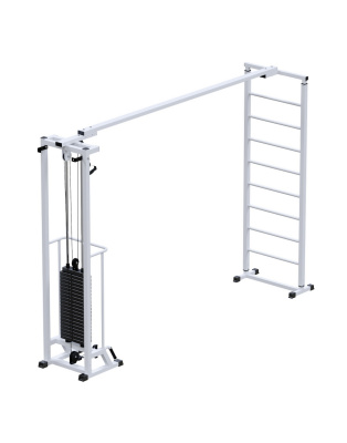 Кроссовер ARMS Биотонус 100 кг + шведская стенка AR087.1x2400