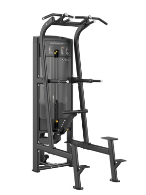 Smith Fitness RE8008: Подтягивания и Отжимания с Поддержкой, стек 117,5 кг | Premium Fitness